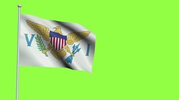 Us Virgin Islands Flag Slow Motion video