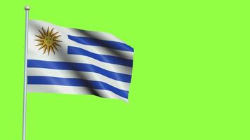 Uruguay bandera lento movimiento video