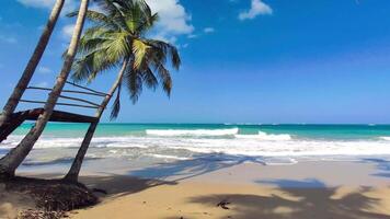 Playa Limon in Dominican republic video