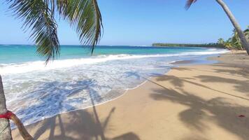 Playa Limon in der Dominikanischen Republik 9 video