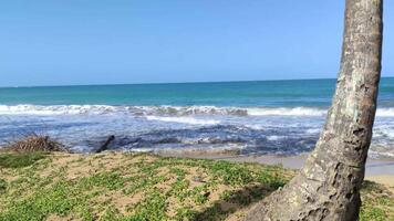 Playa Limon in Dominican republic 10 video