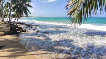 Playa Limon in der Dominikanischen Republik 8 video