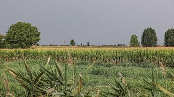 Stormy countryside landscape video