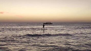 surfeur au coucher du soleil video