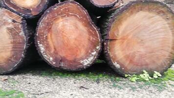 Logs of firewood video