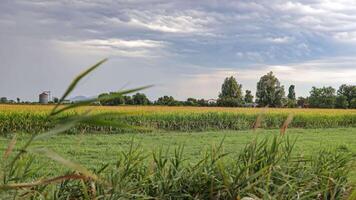 Stormy countryside landscape video