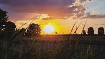Gras Graben Sonnenuntergang Orange Land Landschaft video