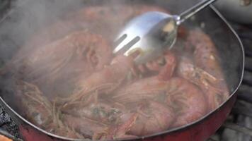 pentola con gamberetto nel cucinando video