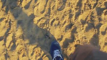 lopen op het strand video