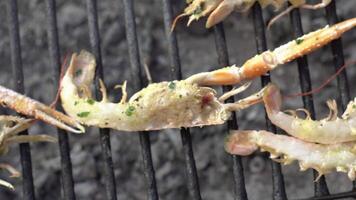 Grilled prawns cooking video