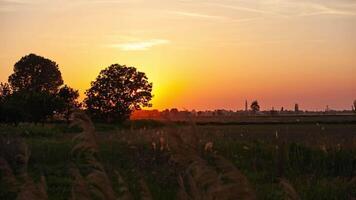 oranje zonsondergang in land landschap video