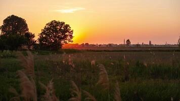Orange sunset in country landscape video