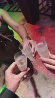 brindis a el fiesta vertical Disparo video