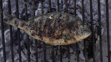 Grilled sea bream 2 video