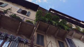 Architectural detail of historic buildings in Verona video