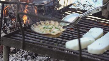 grillé escalopes dans un barbecue video