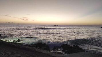 bayahibe kustlijn Bij zonsondergang video