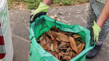 Garbage bag full of leaves video