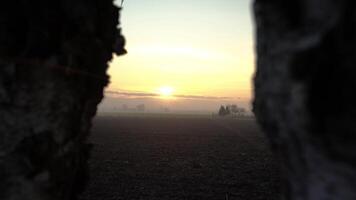 puesta de sol en campo 4 4 video