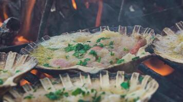 grillé escalopes dans un barbecue 4 video