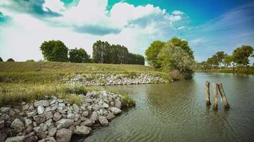 Small natural river landscape video