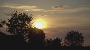 zonsondergang landschap bomen silhouet 2 video