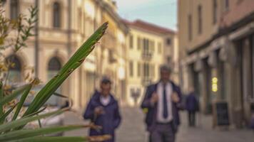 ROVIGO ITALY 14 OCTOBER 2021 Historical Italian city alley view in Rovigo video