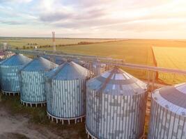 Grain silos on a green field background with warm sunset light. Grain elevator. Metal grain elevator in agricultural zone. Agriculture storage for harvest. Aerial view of agricultural factory. Nobody. photo