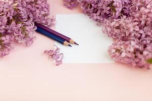 Sheets of white clean paper and spring flowers lilac, on a color background background. photo