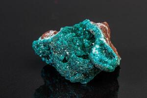 macro mineral stone Dioptase on a gray background photo