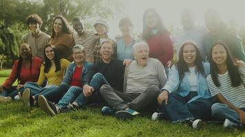 uma grupo do pessoas a partir de diferente geração estão sentado em a Relva dentro uma parque video