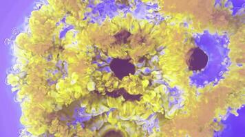 a flower is shown in a blue and yellow color video