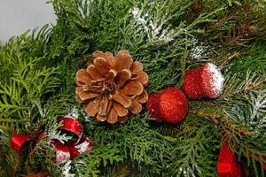 Christmas composition. Wreath of Christmas tree branches photo