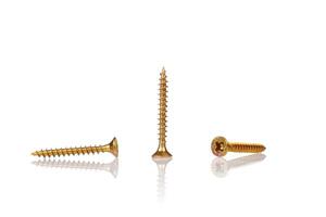 macro screw of golden color on a white background photo