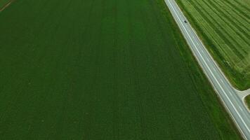 Journey on the road. Vehicle moves along an asphalt path through fields video