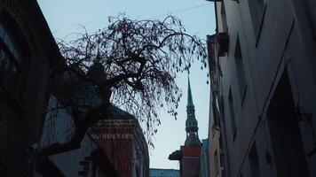 City view with steeple between buildings, looking up at the tower block video