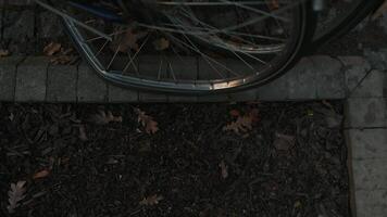 urbano descuido. bicicletas forrado arriba en acera, demostración señales de rueda dañar video
