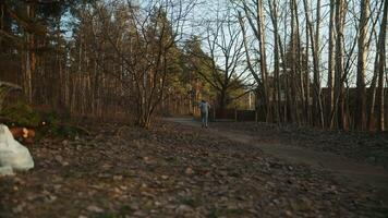 A person runs through a woodland path surrounded by trees and plants video