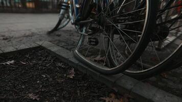 fila de bicicletas forrado arriba en borde del camino, ruedas descansando en suelo video