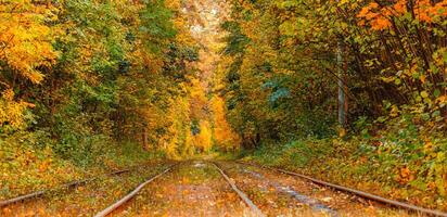 Autumn forest through which an old tram rides Ukraine photo