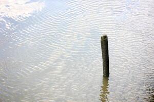 Sticks planted in flowing river water photo