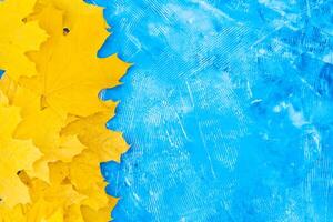 Autumn leaves frame on blue background top view Fall Border yellow and Orange Leaves vintage structure table Copy space for text. photo