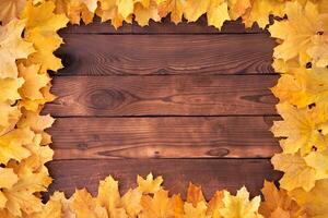 Autumn leaves frame on wooden background top view photo