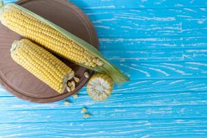 Corn cob with green leaves lies on Round cutting board. blue color background. photo