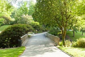 Botanical Garden Le Vallon du Stang Alar Brest France 27 may 2018 - small lake and bridge Summer season photo