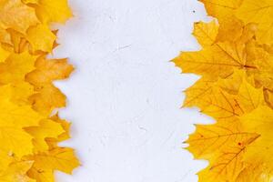 Autumn leaves frame on white background top view Fall Border yellow and Orange Leaves vintage structure table Copy space for text. photo