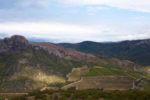 a view of a valley with a mountain in the background photo