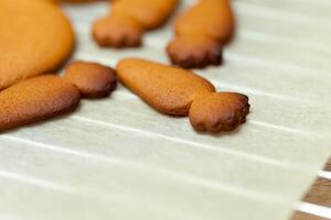 close up of female hands making cookies from fresh dough at home photo