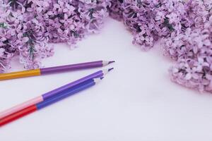 Sheets of white clean paper and spring flowers lilac, on a color background background. photo