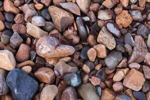 textura de mojado brillante pequeño mar piedras foto